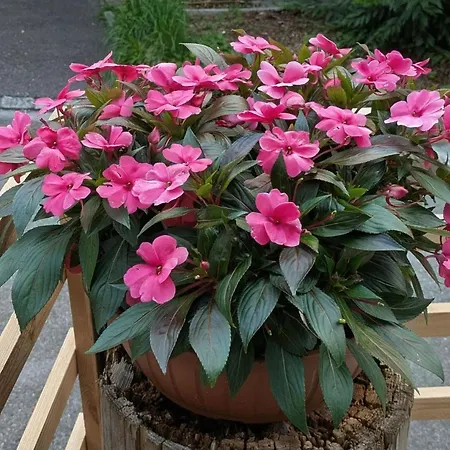 Arlinn By Interhome *